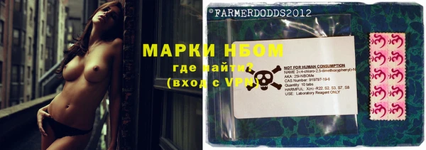 ГАЛЛЮЦИНОГЕННЫЕ ГРИБЫ Магас