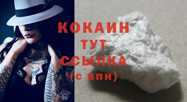 ГАЛЛЮЦИНОГЕННЫЕ ГРИБЫ Магас