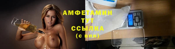 ГАЛЛЮЦИНОГЕННЫЕ ГРИБЫ Магас
