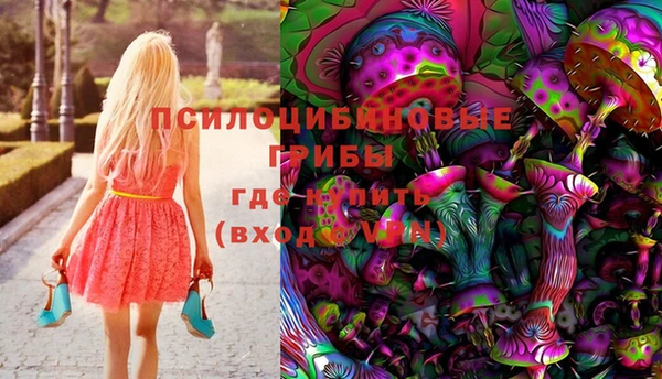 тгк Майский