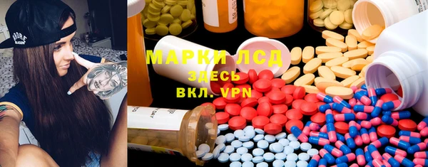 ГАЛЛЮЦИНОГЕННЫЕ ГРИБЫ Магас
